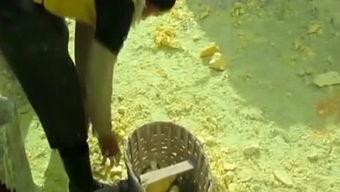 最新爆料大表姐,神秘男友身份引热议，细节揭秘